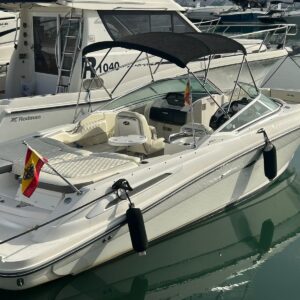 Sea Ray 250 SLX